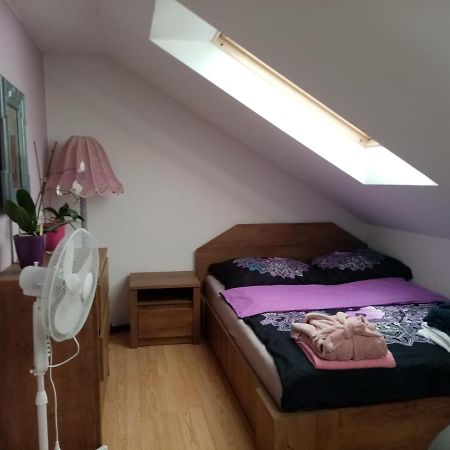 Podkrovni Apartman Tereza Apartment Rumburk Ngoại thất bức ảnh