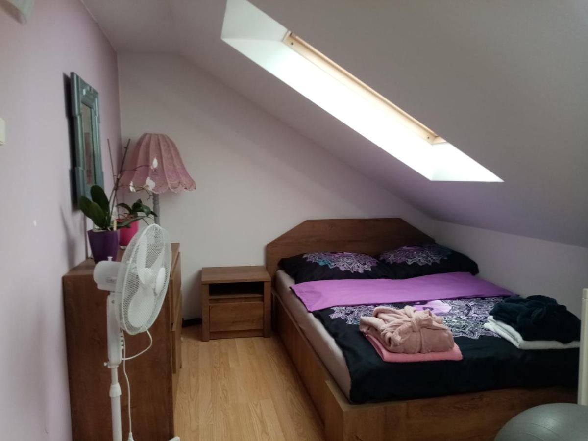 Podkrovni Apartman Tereza Apartment Rumburk Ngoại thất bức ảnh